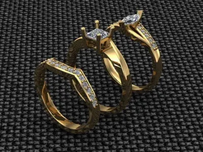 Ring Pack 3D print model