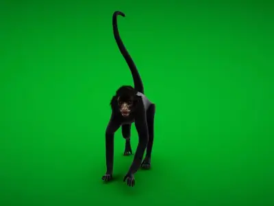 Spider Monkey Low-poly 3D model