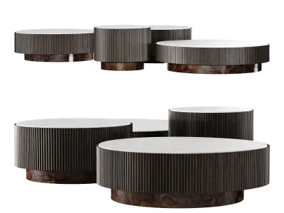 gallotti and radice nori 3D model