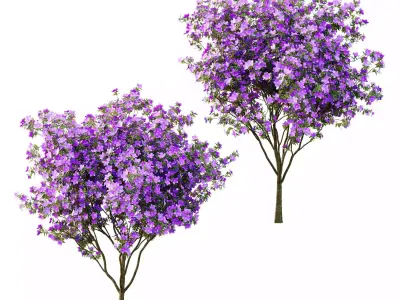 xcellent collection of Outdoor plants 20 Different Models 0053