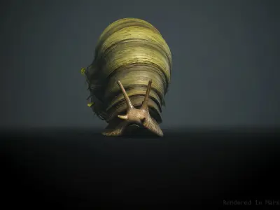 Land snail3 - Game Ready Low-poly 3D model Low-poly 3D model