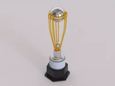 Cricket Trophy 3D model