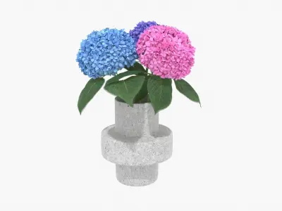 Hydrangea Flower Set 3D model