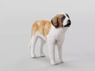 Saint Bernard  Low-poly 3D model