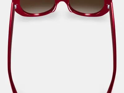 Rosetta Sunglasses in Maroon 3D model