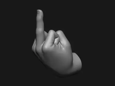 Middle Finger Printable Wall Art 3D print model