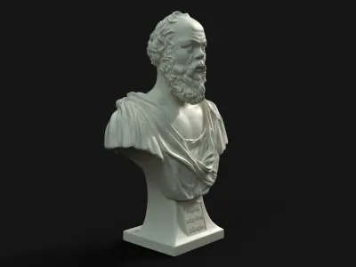Socrates bust of man with beard 3D print model