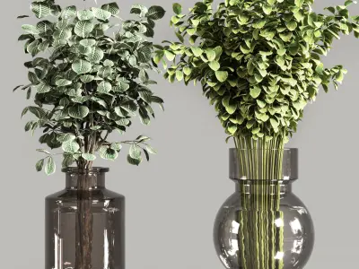 Collection Plants Bouquet Indoor 01 3D model