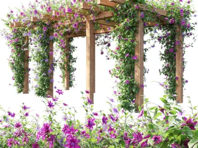 Clematis 04 3D model