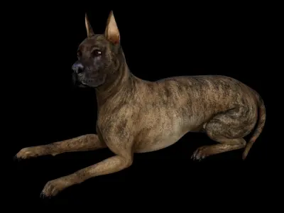 5 stand alone obj-11 3D model