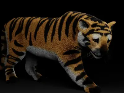 TIGER  RIGGED - ANIMATED 3D model