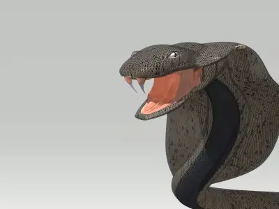 Cobra head Free 3D model