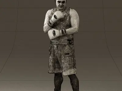 Boxer in gray 0781 3D model