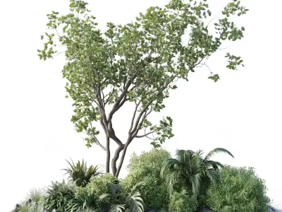 garden pot tree bush Collection outdoor indoor 113 3D model