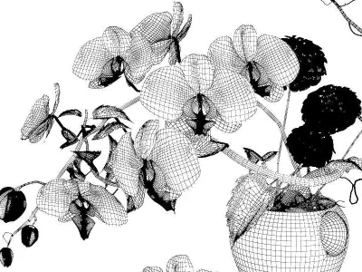 Orchid Flower Ikebana 3D model