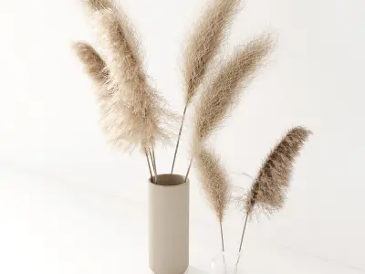 Set of pampas in vase 3D model