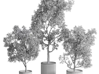 indoor plant set 374 plant tree bush concrete dirt vase Low-poly 3D model