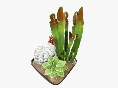 Plant composition decorative 01 3D model