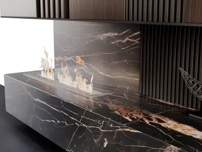 Decorated Wall With Fireplace - 2 3D model