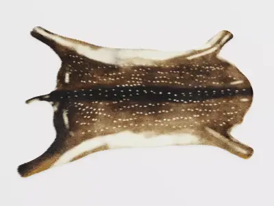 Deer Skin Rug - Realistic Animal Hide 3D model