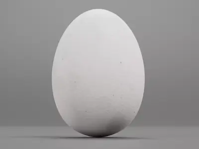 -White Egg- 3D model