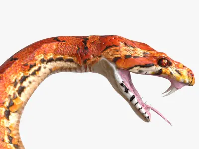 Snake rigged 3D model