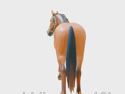 Bay Tennessee Walker Horse 3D Model Low-poly 3D model