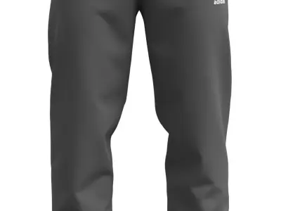 Sport Pants - Marvelous Designer  3D model