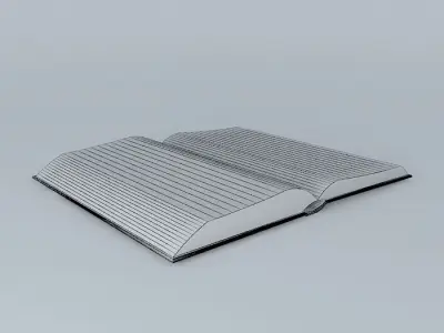 Open Book 3D model