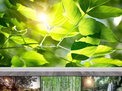 Photo Wallpaper No 24 Low-poly 3D model
