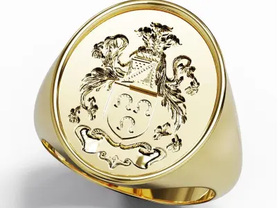 Arm of coat Family crest 3D print model