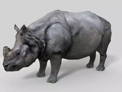 Photorealistic low-poly model rhinoceros Low-poly 3D model