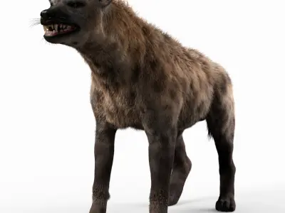 Hyena For Production 3D model