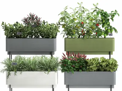 Vegetable garden in the kitchen 1059 3D model