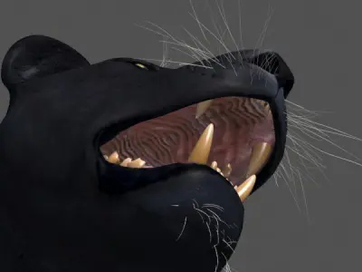 Panther no Fur - 3d model 3D model