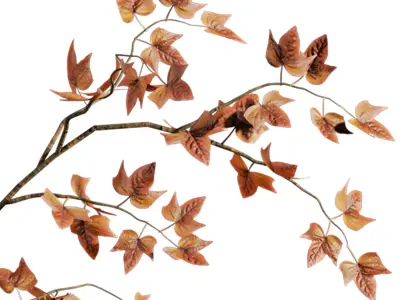 Autumn bouquet 3D model get