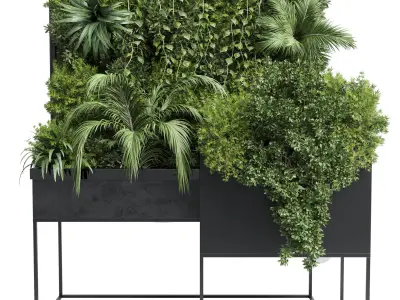 Box Plants on Stand collection of outdoor plants 108 3D model