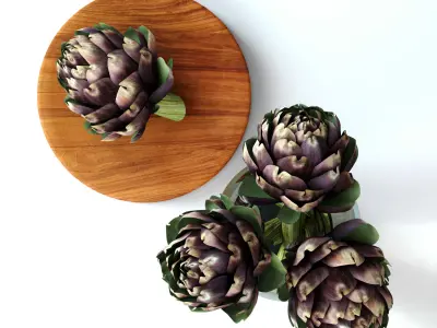Burgundy Artichokes Set 3D model