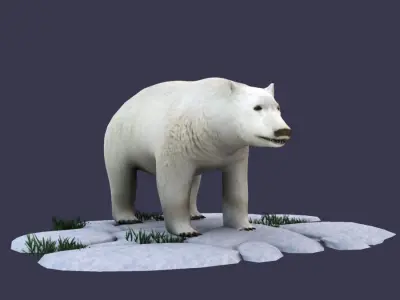 White Bear polar bear animal Ar VR animal 3D model