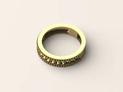Ring R 23 3D print model