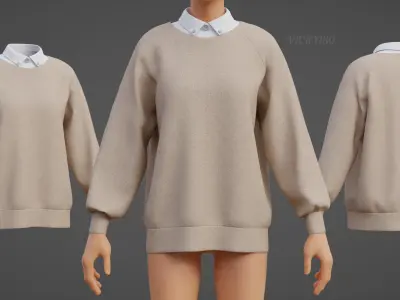Sweater  and Collared Shirt - Knit Pullover wear formal clothing 3D model