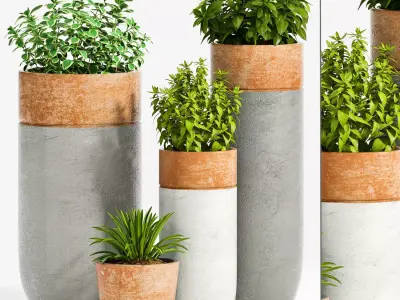 Decorative plant set-29 3D model