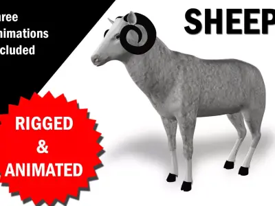 Sheep Rigged and Animated  3D model