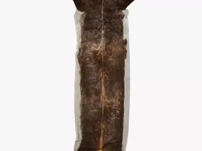 Super Long Stretched Cowhide Rug 3D model