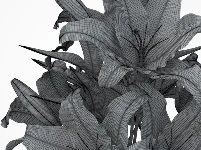 Lily flower 3D model