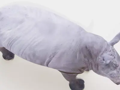 White rhino Low-poly 3D model
