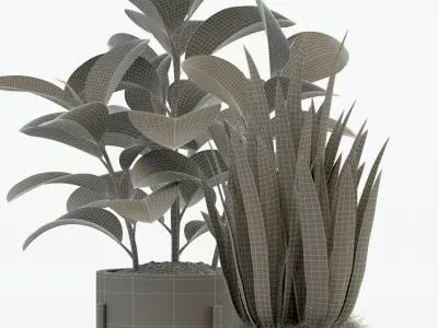 Plants collection 75 Modernica pots 3D model