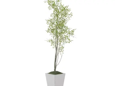 Amur Decorative Plant PBR 3D model