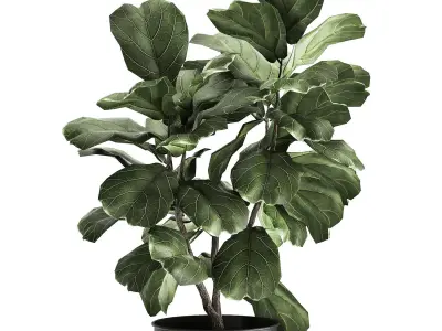 Houseplants in a pot for the interior 876 3D model