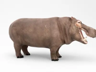 Hippopotamus Mid Poly and High Poly 3D model